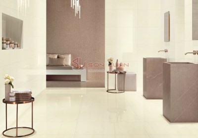 Gạch Ốp Lát APODIO 48817
